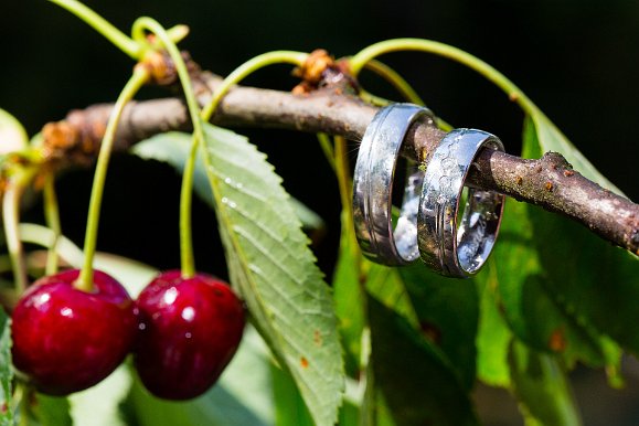 20140621-110706-MS5_8621