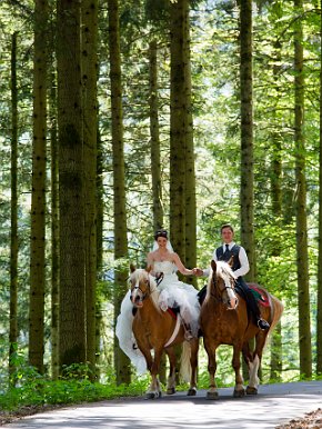 20140621-123006-MS5_8844