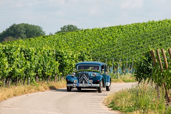 20190713-100518-IL6A7757