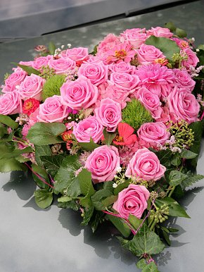 2012_09_15_11_11_IMG_0475